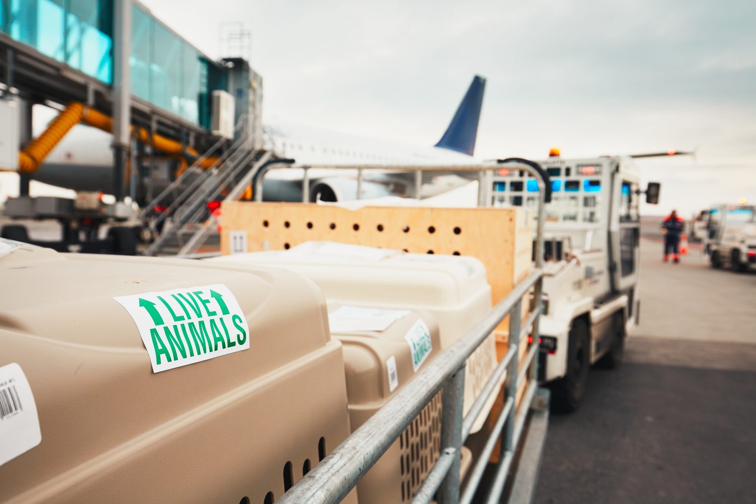 Cargo handling on the ramp